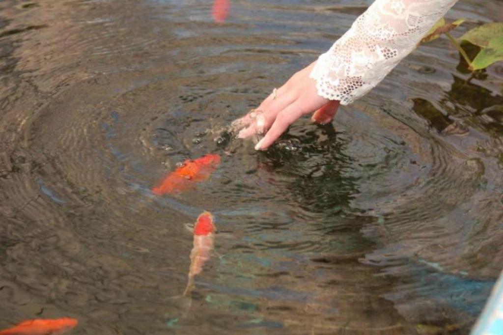 просто очень красиво