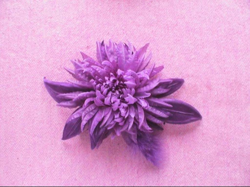 Фиолетовая фантазия