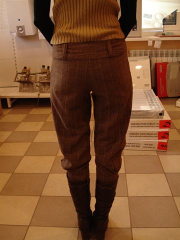 вид бриджей сзади