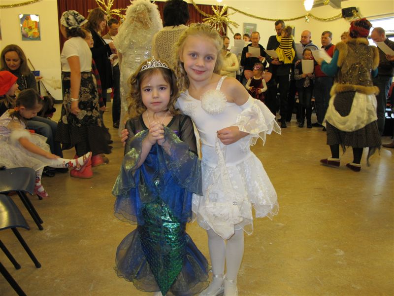 русалочка и снежинка