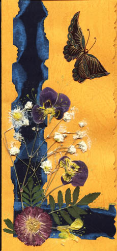 Image15.jpg