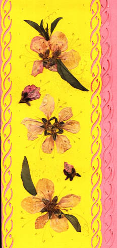 Image5.jpg