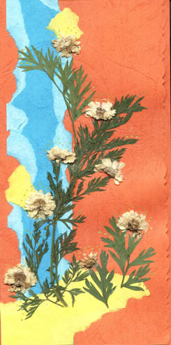 Image11.jpg