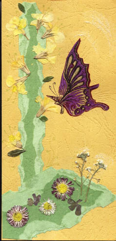 Image12.jpg