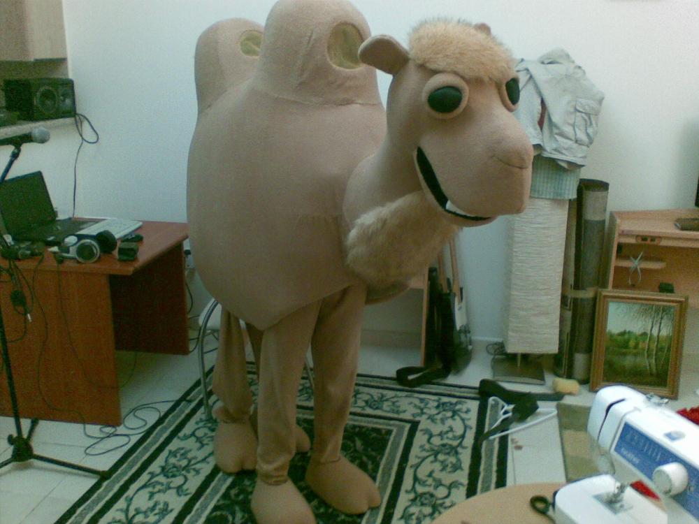 мой верблюд двугорбый