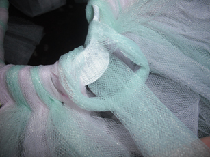 25.10.2010 036.jpg