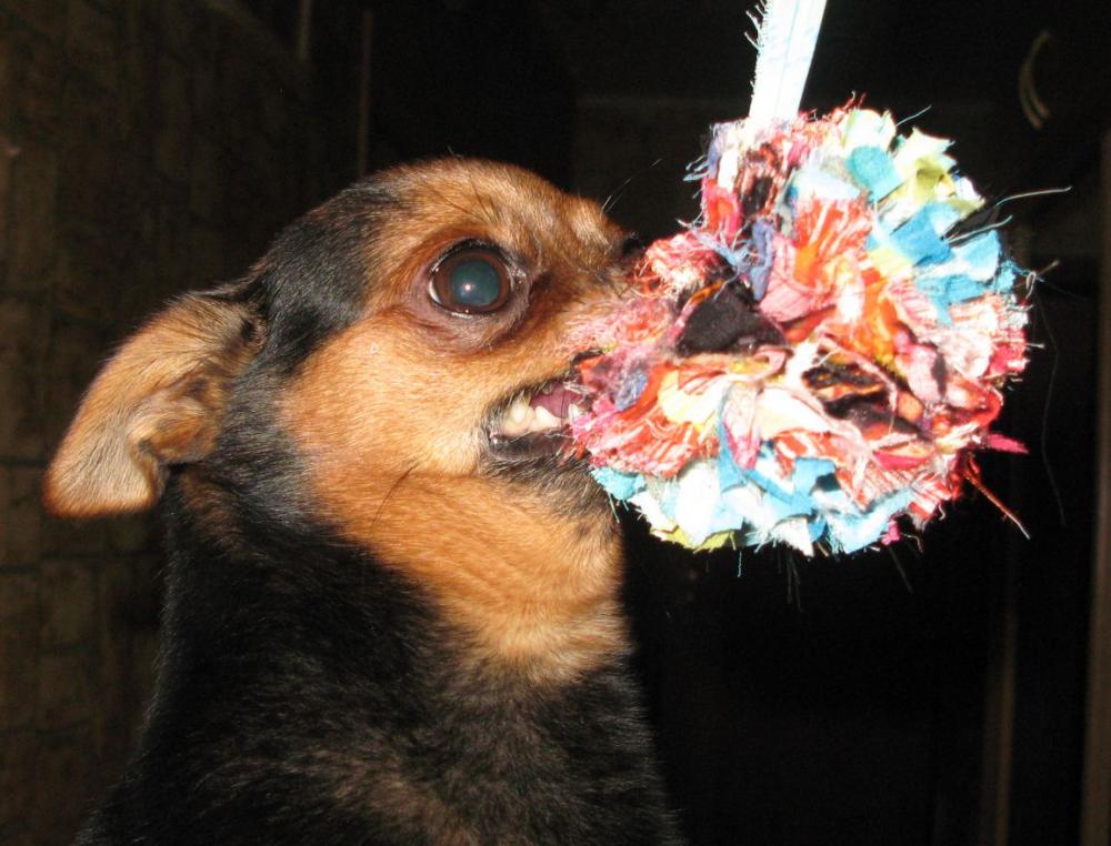 утилизация швейных отходов