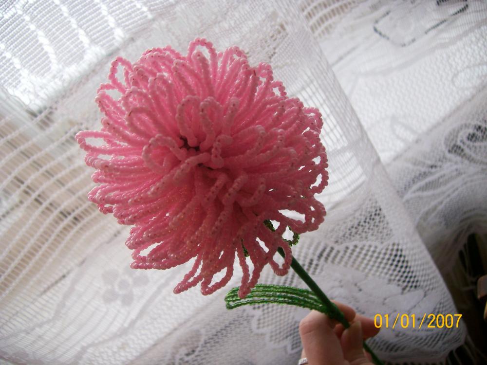 100_2171.JPG