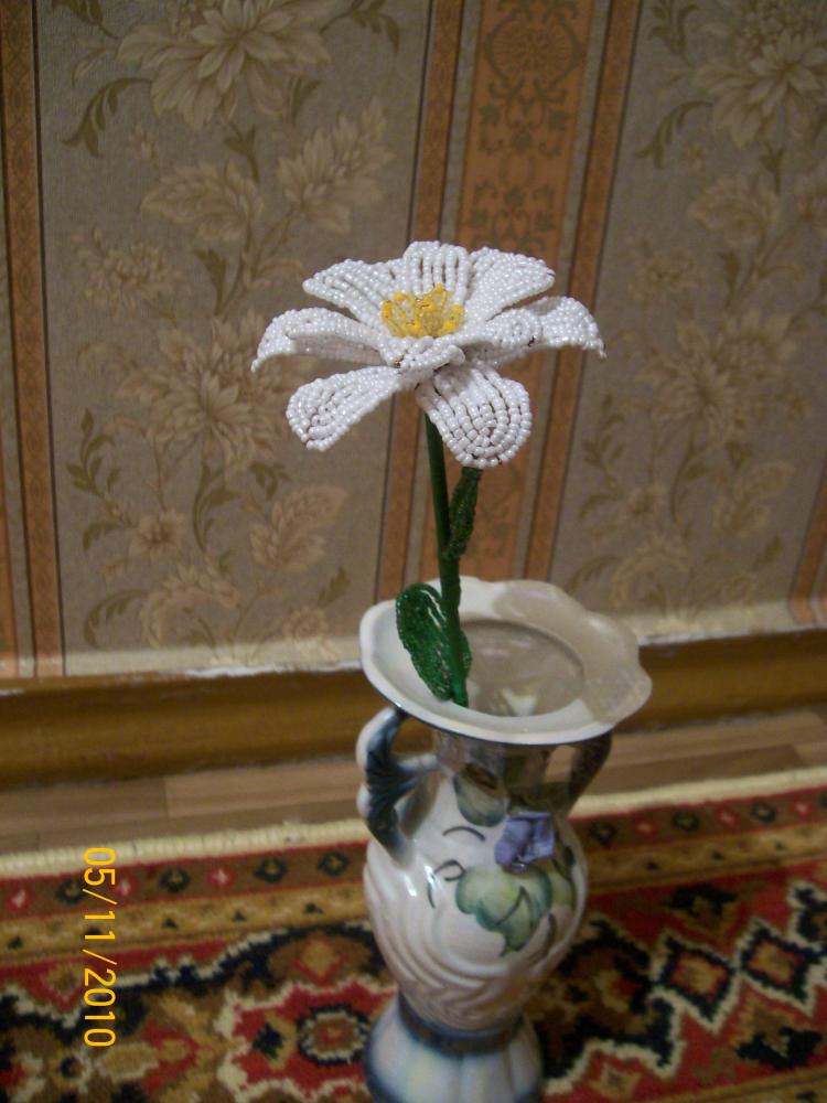 100_2066.JPG