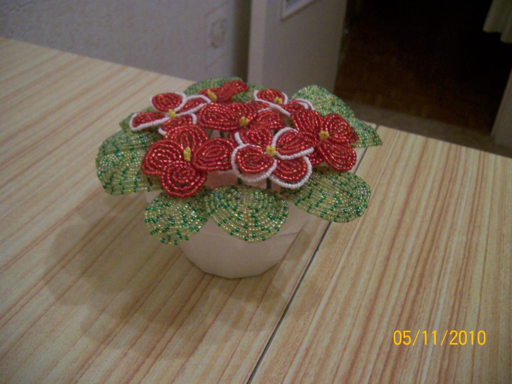 100_2095.JPG