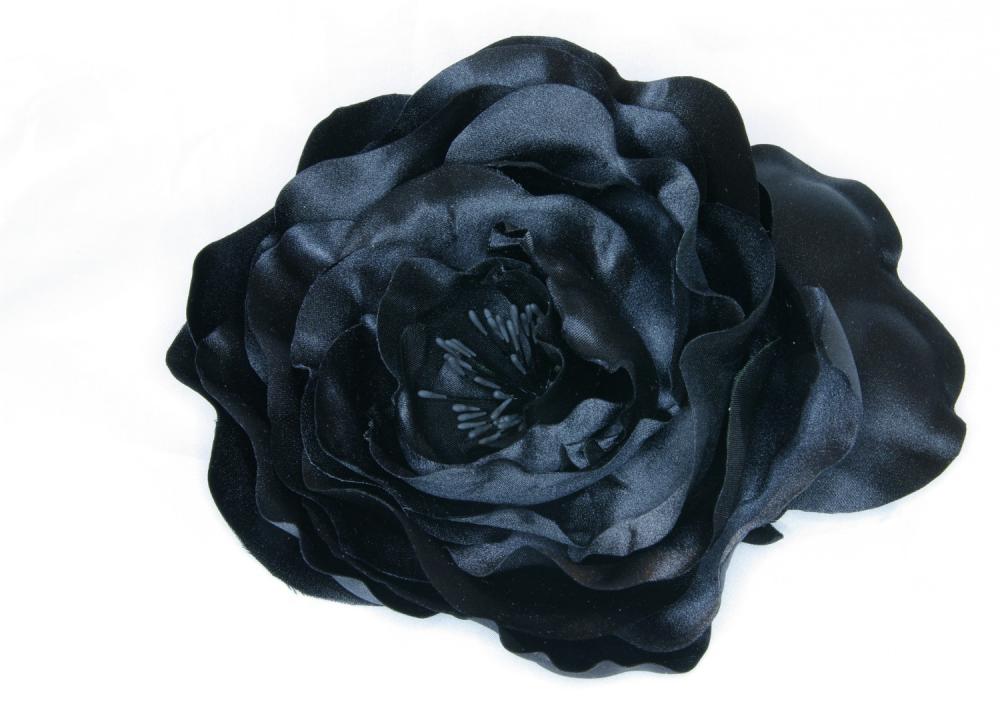 Black_Rose_1_2.JPG