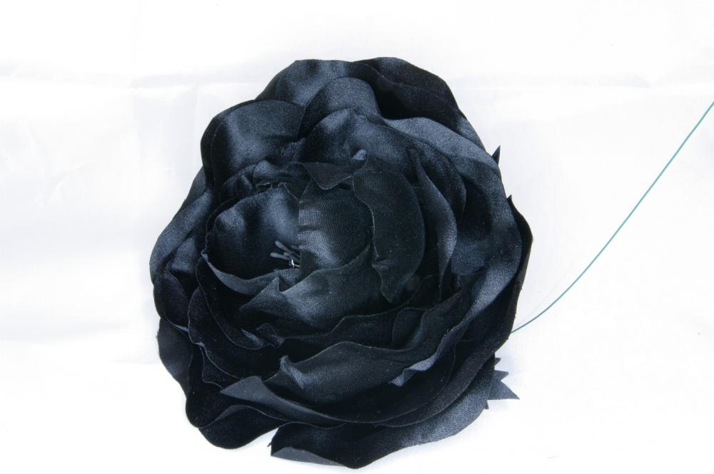 Black_Rose_2.JPG