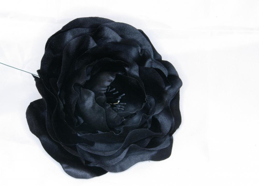 Black_Rose_2_3.JPG