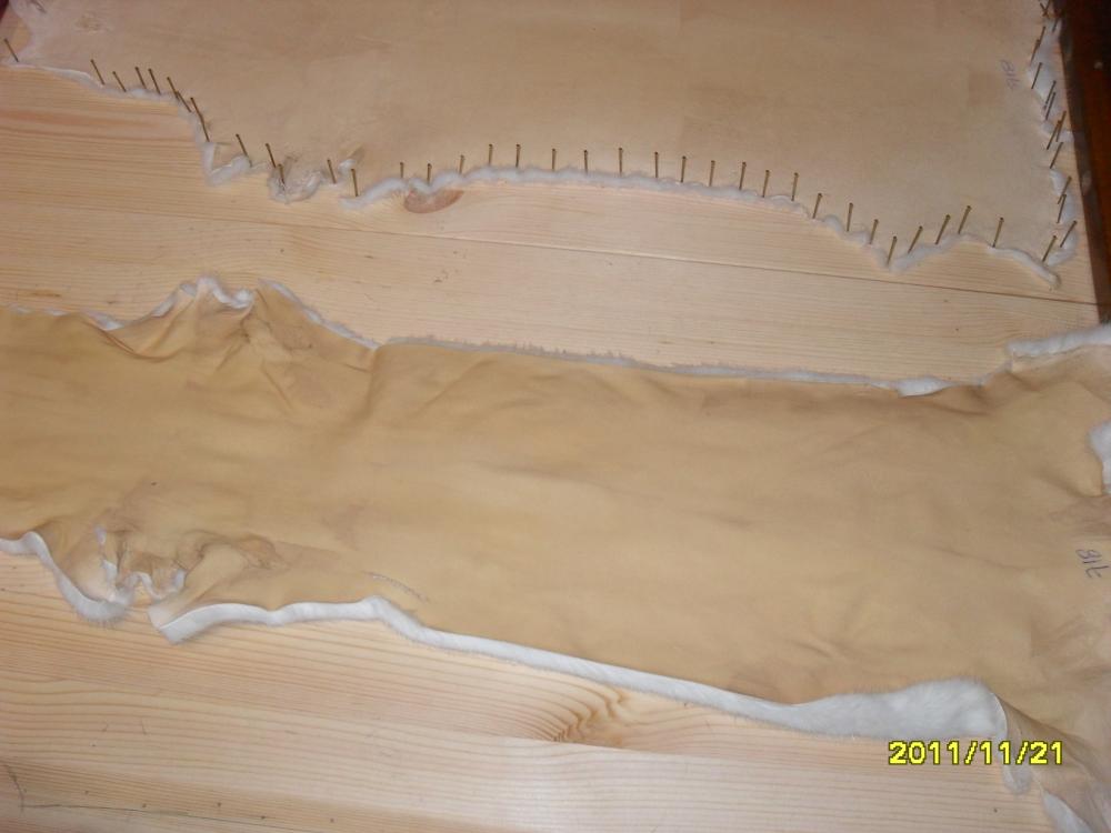 SDC12210.JPG
