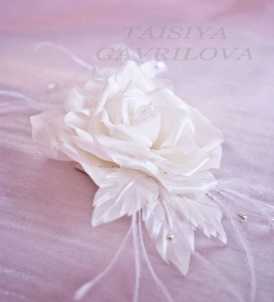 роза пушистая3.jpg