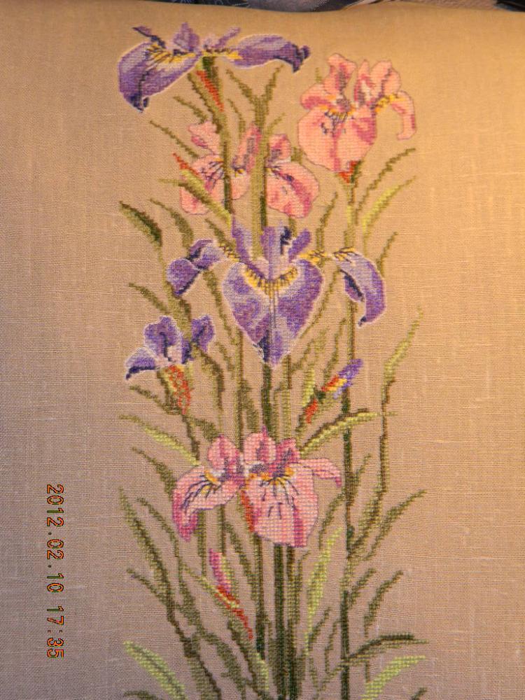 DSCN0417.JPG