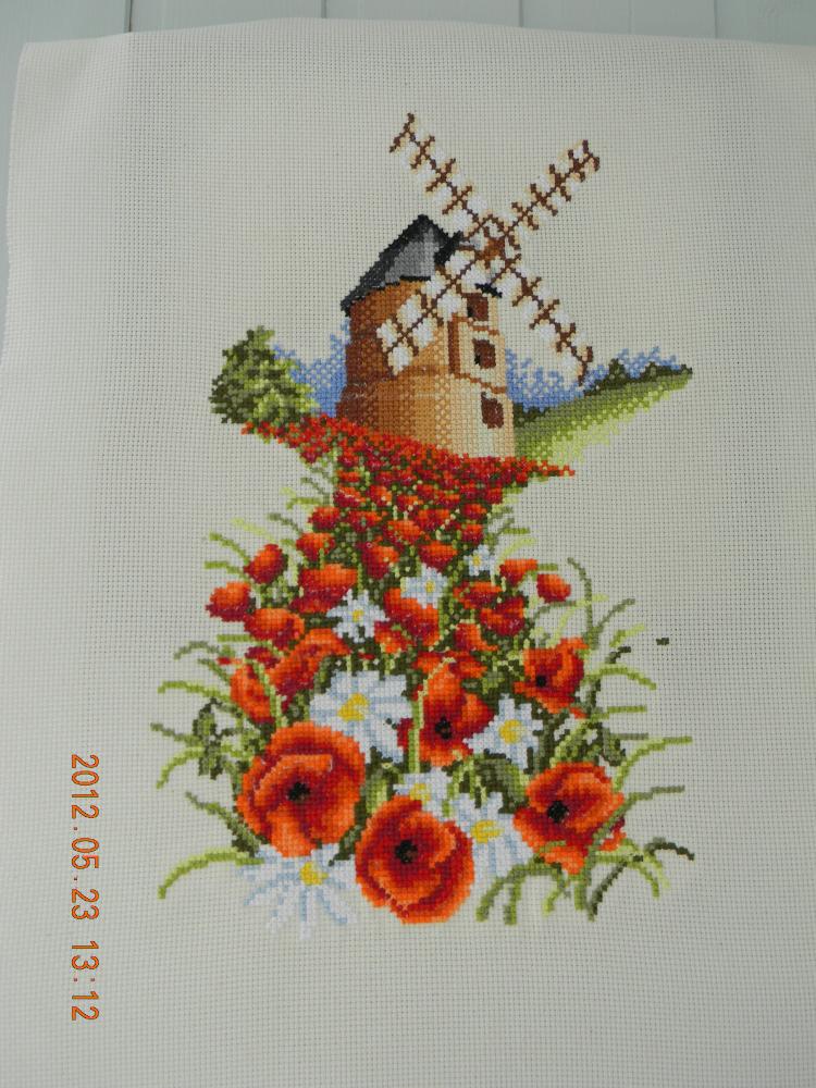 DSCN1568.JPG
