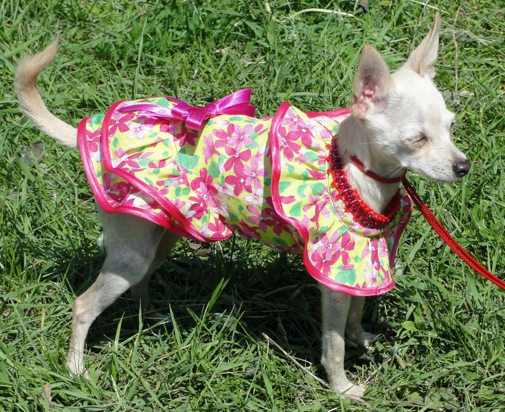 Летние платья на свою любимую Джессику