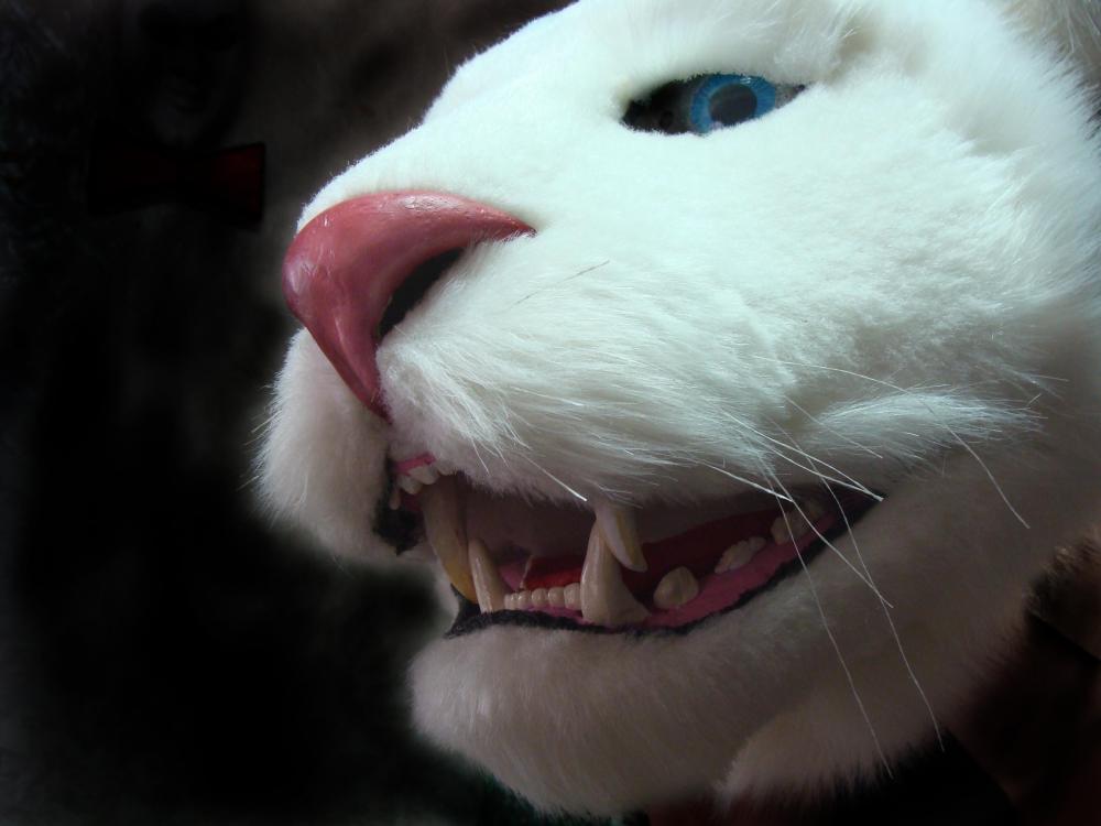 Львица с характером