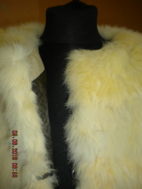 DSCN5842.jpg