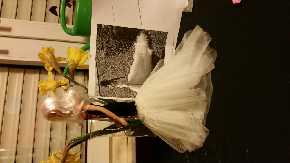 IMG-20150224-WA0012.jpeg