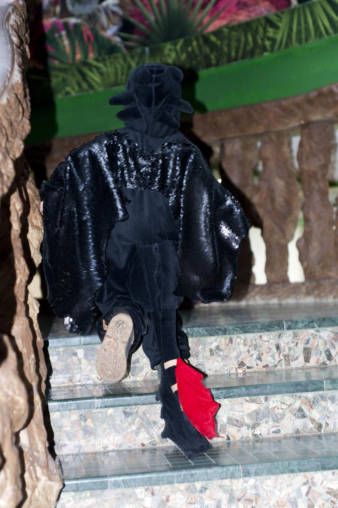 DSC_8681.jpg