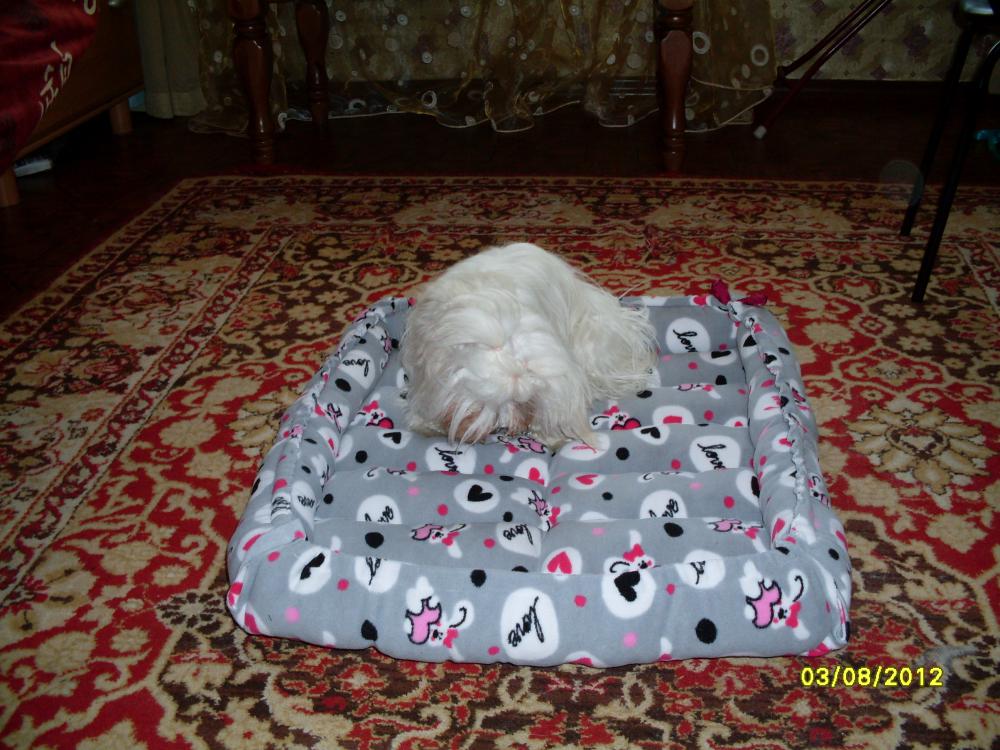 Мое место (2).JPG