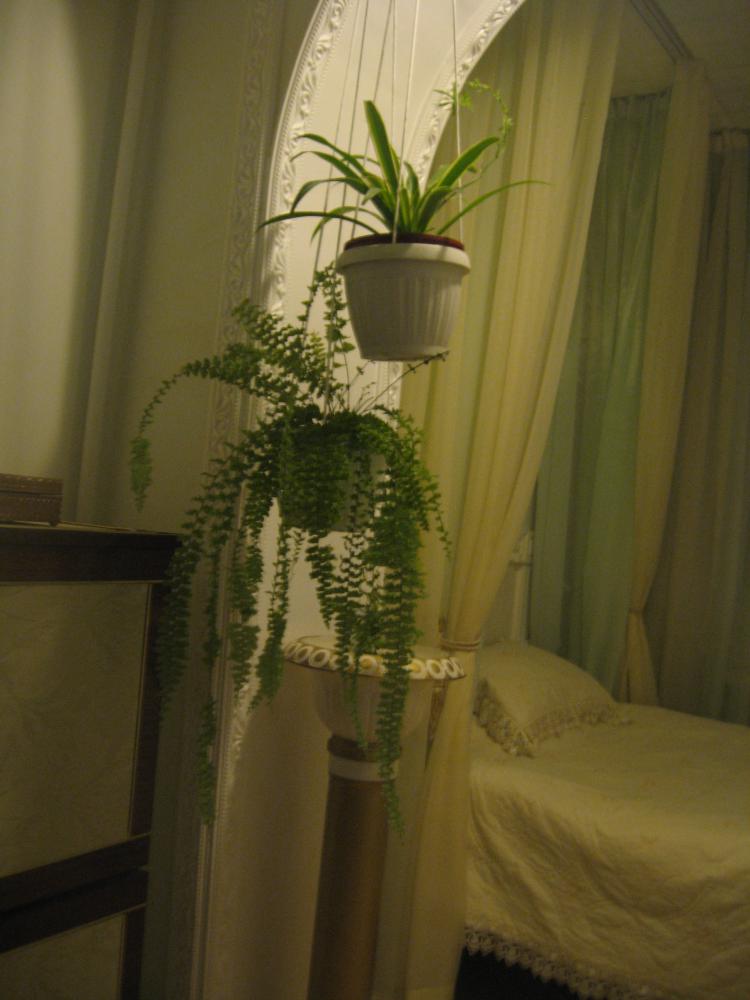 спальня (6).JPG