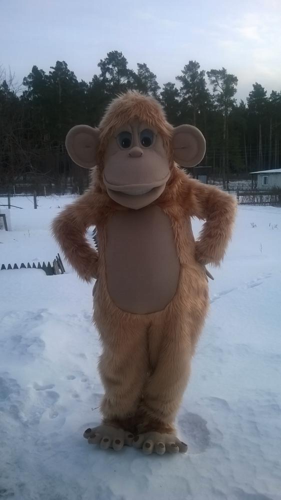 моя обезьянка