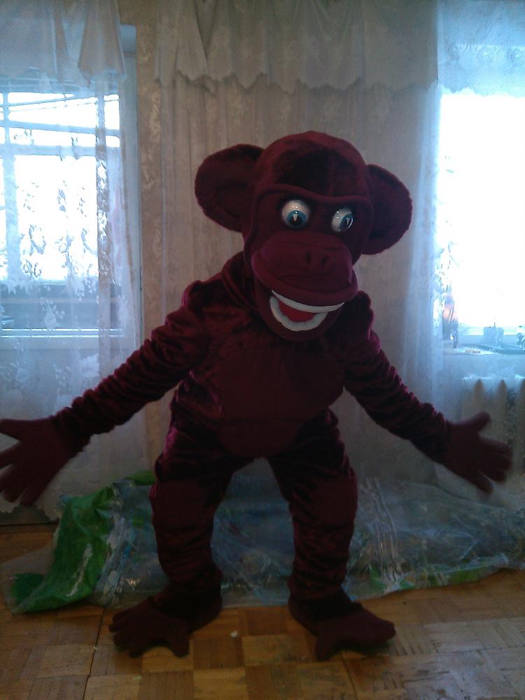 0   IMG_20160105_143231.jpg