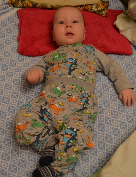 "Морские твари"