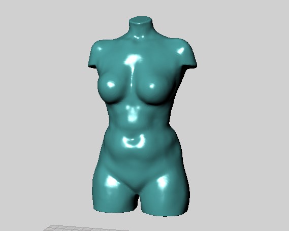 торс из рино.jpg