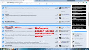 Разделы форума.jpg
