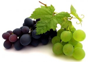 Grozd-vinograda.jpg