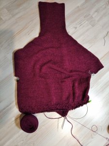 IMG_20201120_183129.jpg