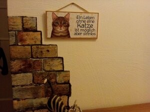 IMG_20201224_151403.thumb.jpg.f71c887b289ad72d939598d5d42fb355.jpg