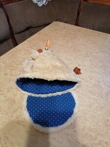 IMG_20201227_164805.thumb.jpg.6070dbc62ebd8f08c24c7217259b4306.jpg