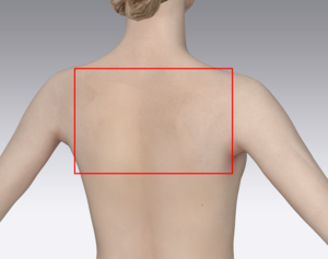 image.thumb.png.2de597ac419cd199f07c0f3045d95799.png