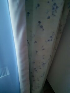 20210131_153457.thumb.jpg.68f32378f4f080733a2474e52a23f12a.jpg