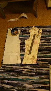DSC_0156.thumb.jpg.1bb0bec8a5cce0bec99e66348f97901d.jpg
