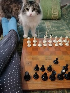 IMG_20201217_140546.jpg