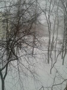 20210226_170845.thumb.jpg.268087d4cee8904277cbb23b11b2b671.jpg