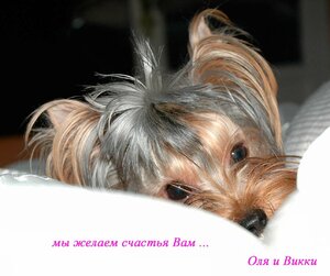Оля-и-Викки.jpg