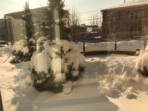 9C14CB7F-549F-4A9C-8AAD-246C08541040.jpeg