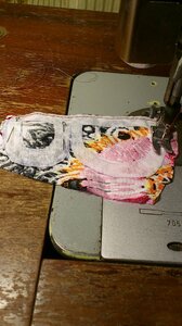 DSC_0196.jpg