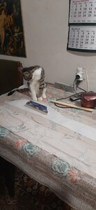 20210328_063345.jpg