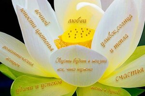 73635465_b_post6071727.jpg