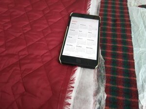 IMG_20210321_110525.jpg