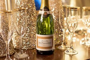 champagne-770x513.thumb.jpg.61a81e198396f51d4596b1d97d418f7a.jpg