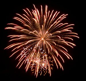 depositphotos_10139024-stock-photo-fireworks.thumb.jpg.2d013e7b0e18b79039473bc9ed06c131.jpg